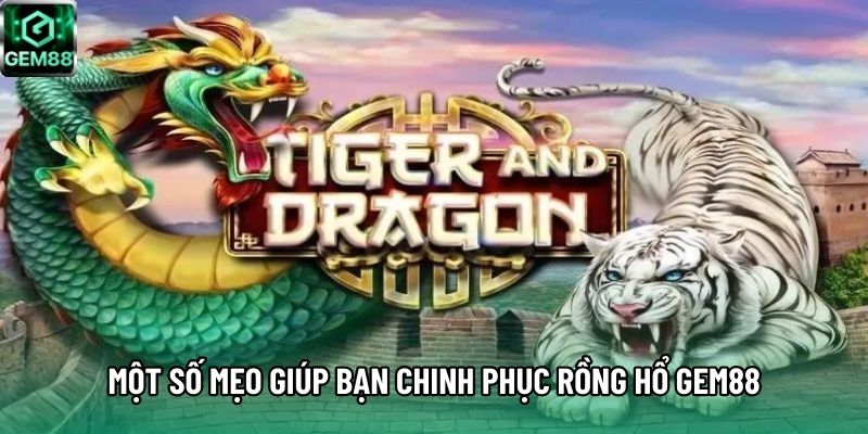 Một số mẹo giúp bạn chinh phục Rồng Hổ GEM88 Một số mẹo giúp bạn chinh phục Rồng Hổ GEM88